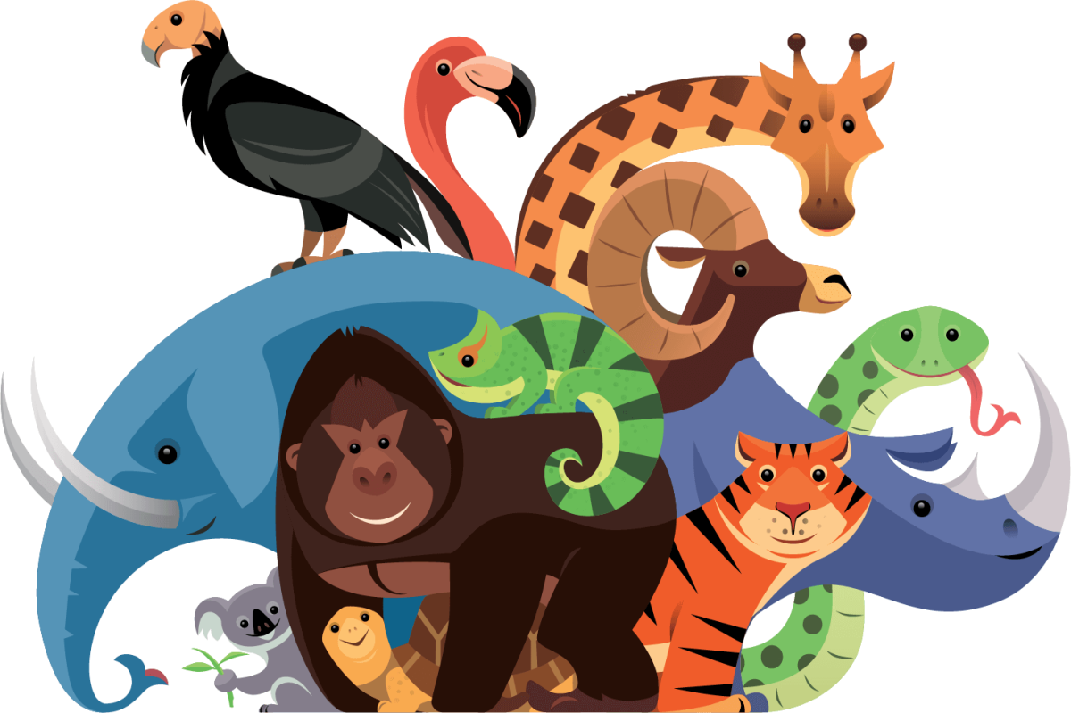 Животные иллюстрации