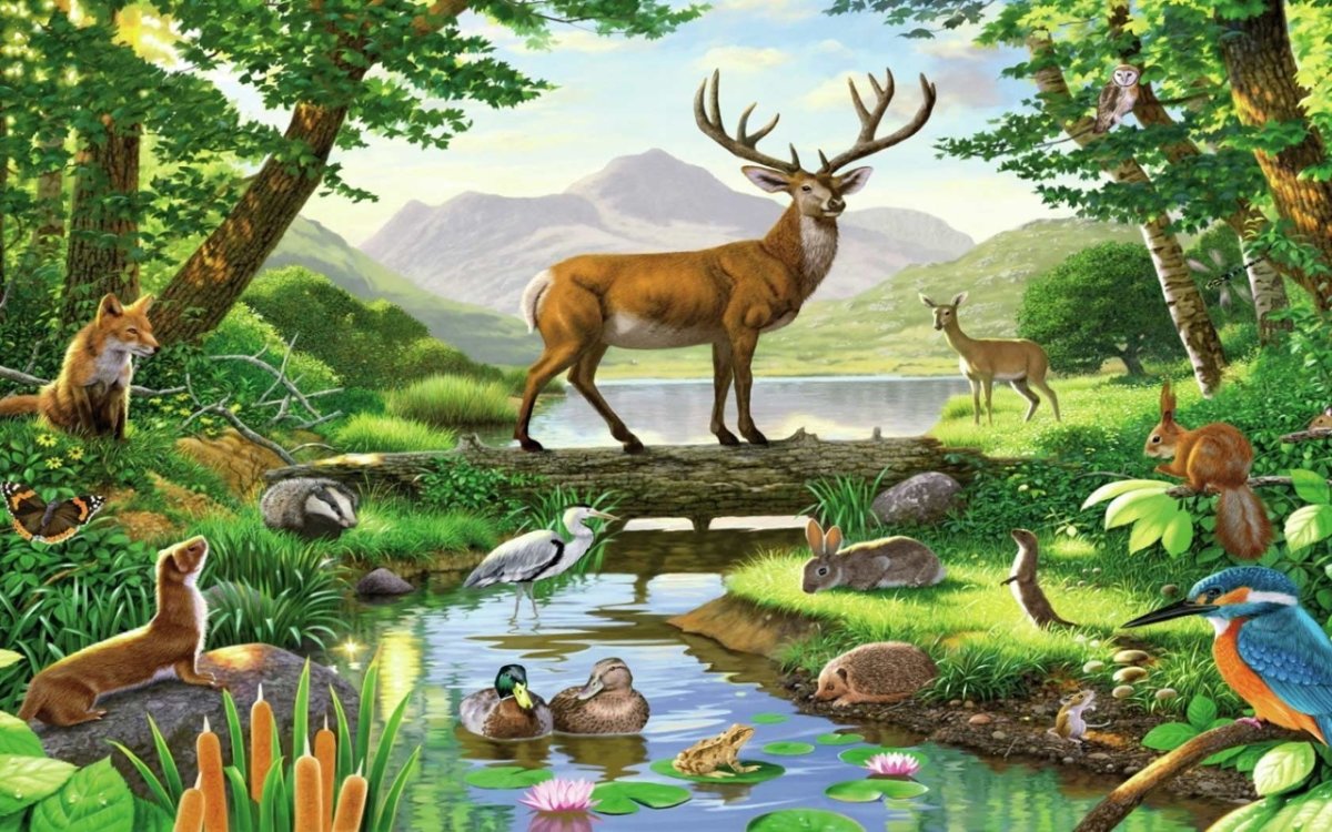 Природа иллюстрация