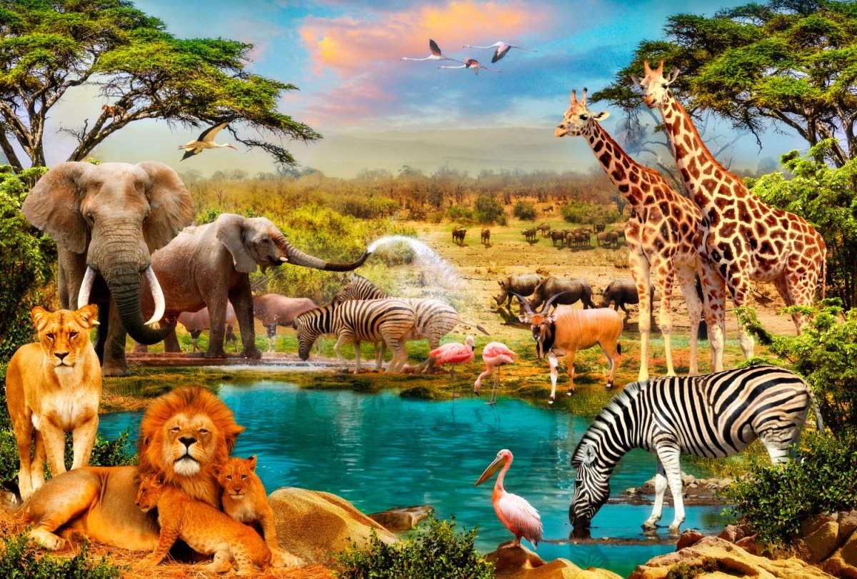 Фотообои африканские животные