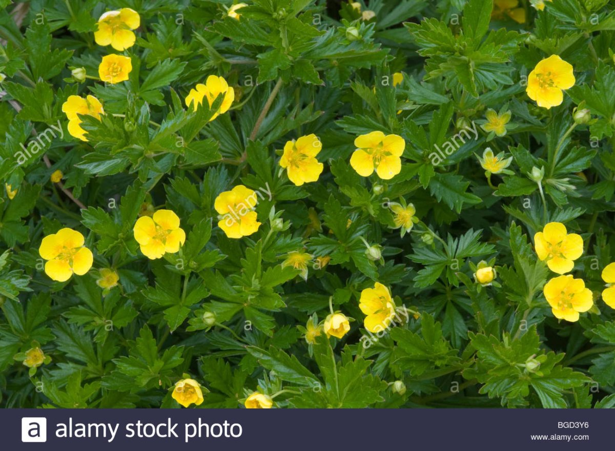 Калган как выглядит в сентябре месяце