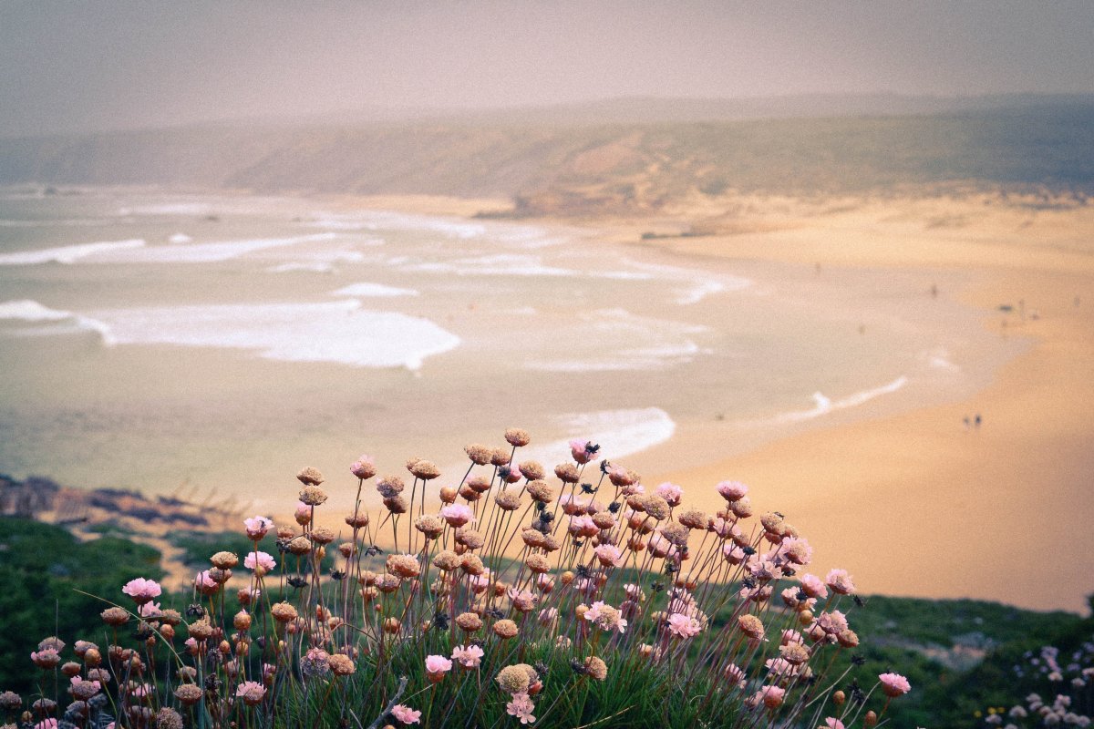 Море нежность