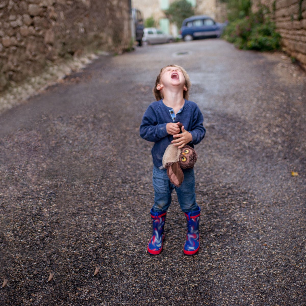 Flickr картинки