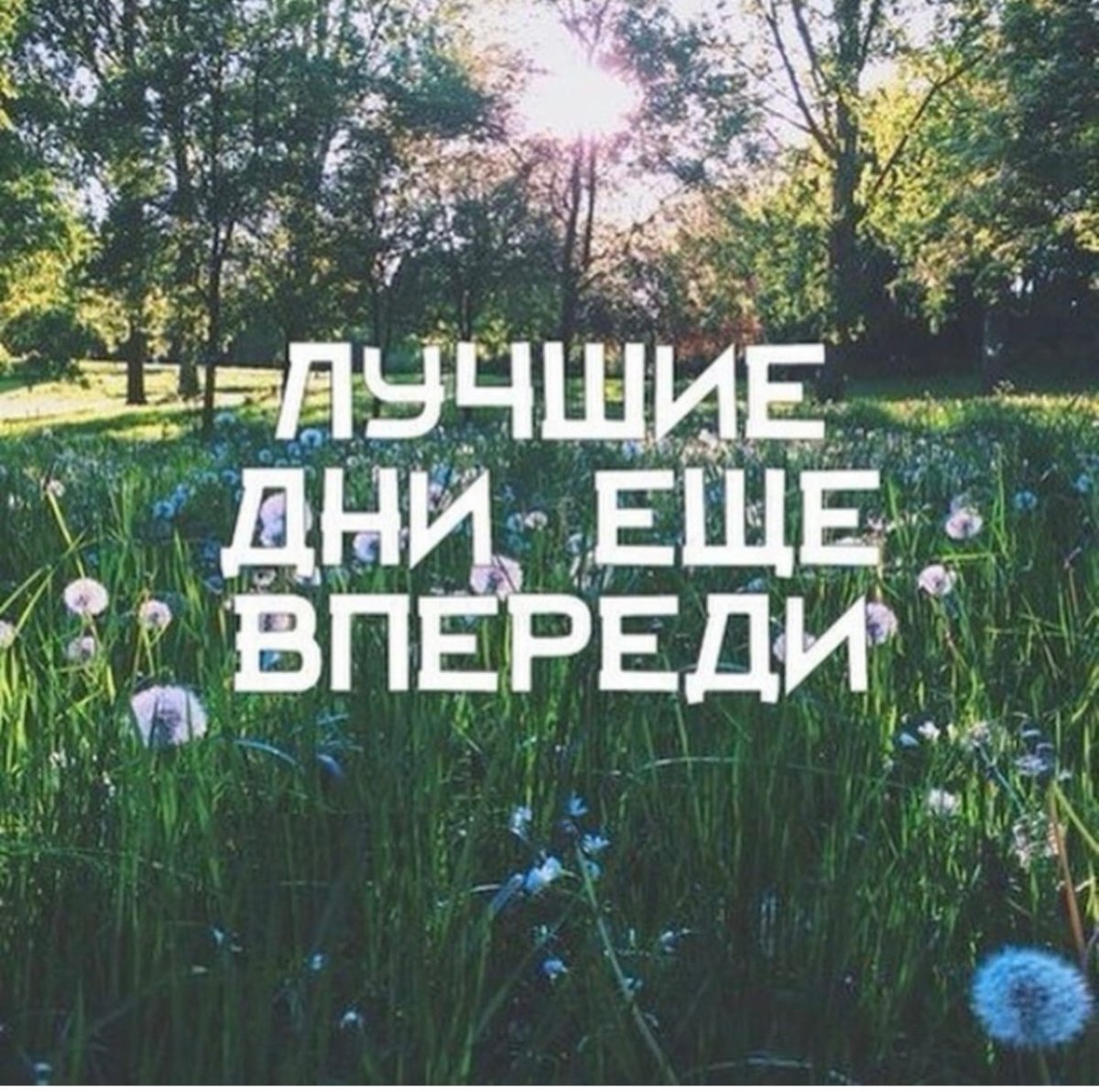 Лучшее впереди