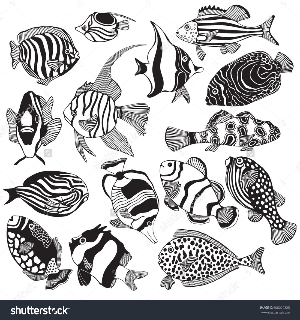 Силуэт экзотических рыб