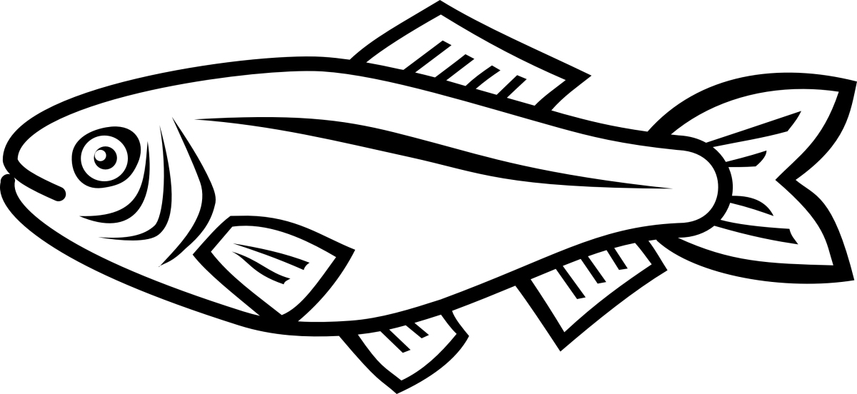 Голова рыба вектор сбоку