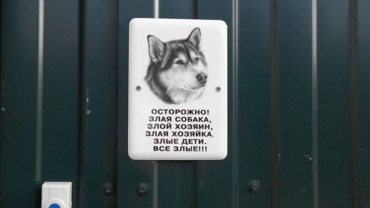 Пятница собака