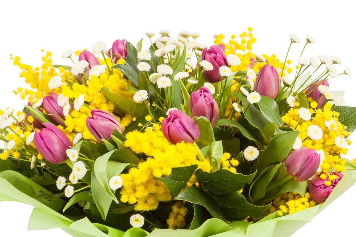 Тюльпаны и Мимоза