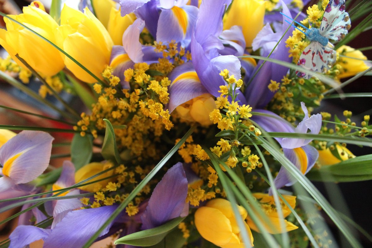 Тюльпаны и Мимоза