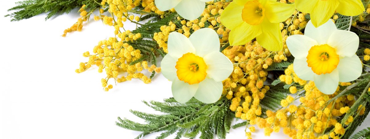 Весенний букет с мимозой