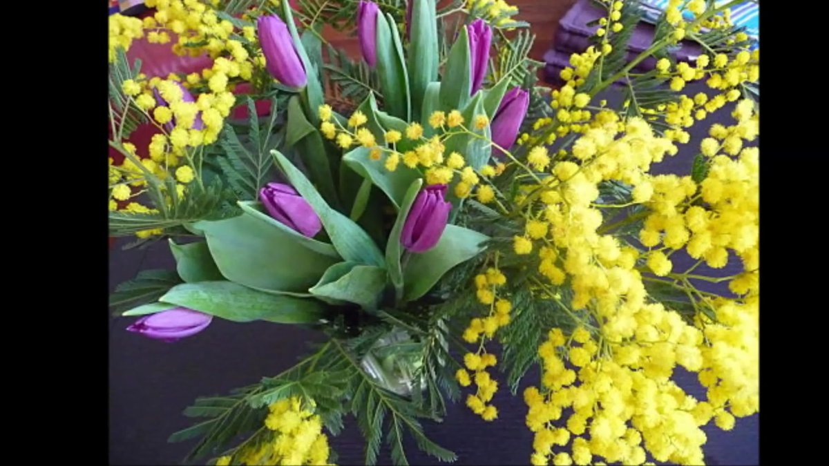 Тюльпаны и Мимоза