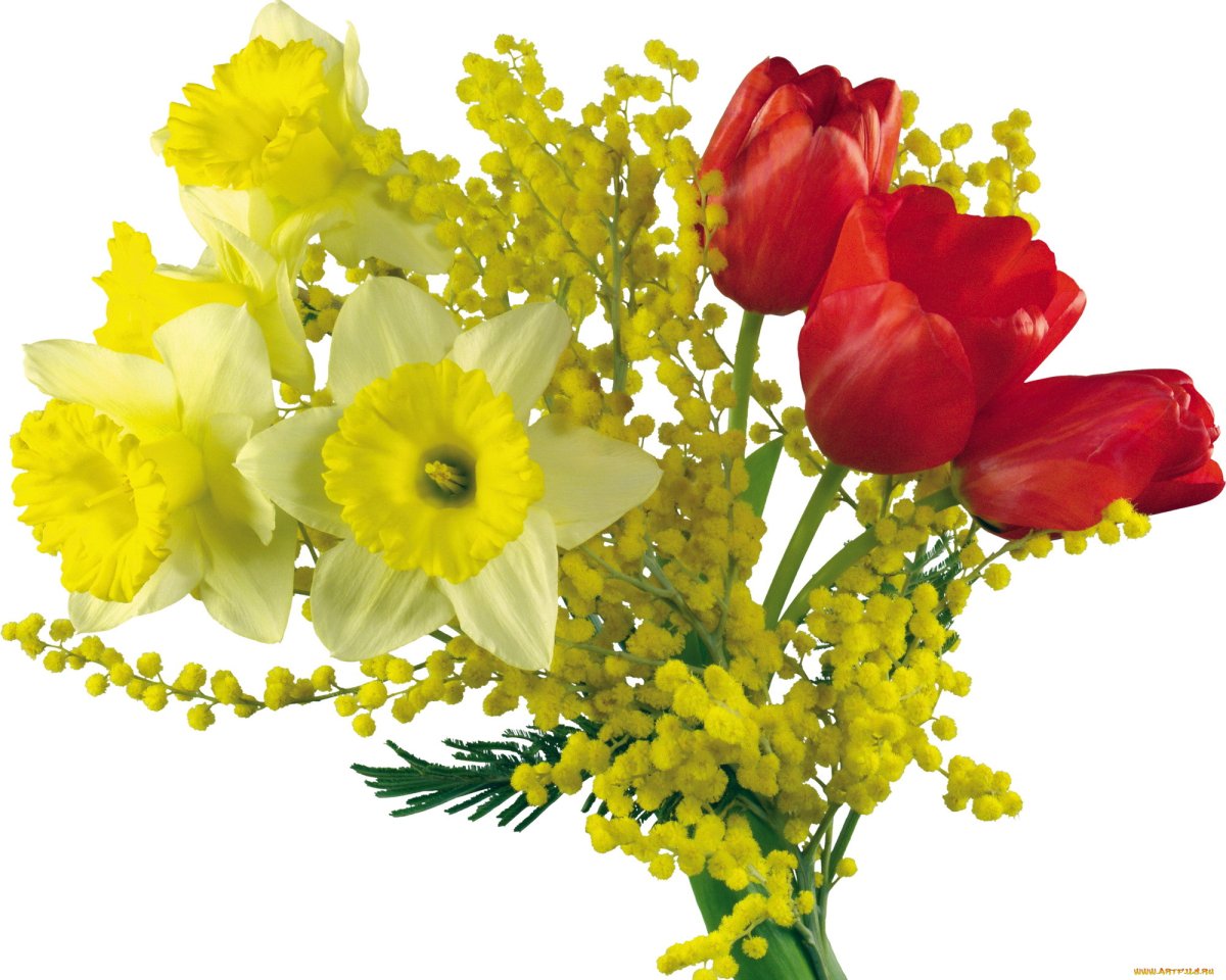 Букет мимозы