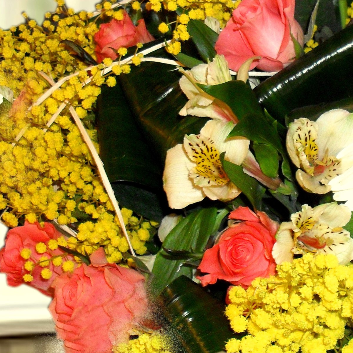 Тюльпаны нарциссы и мимозы