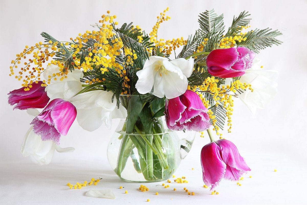 Тюльпаны нарциссы и мимозы