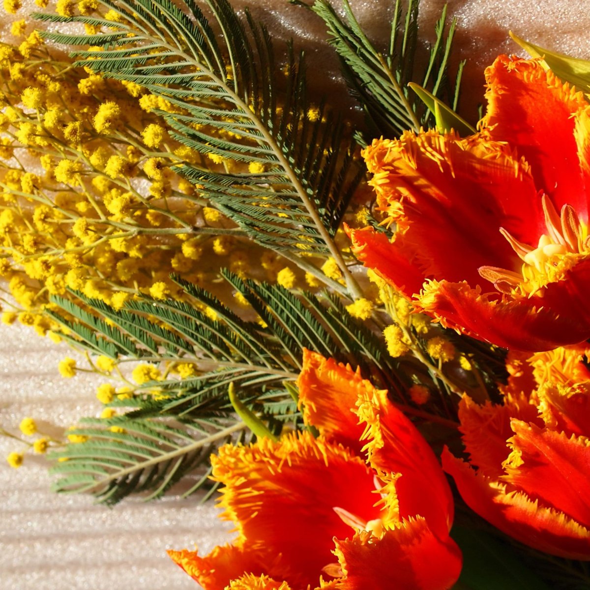 Тюльпаны с мимозой букет