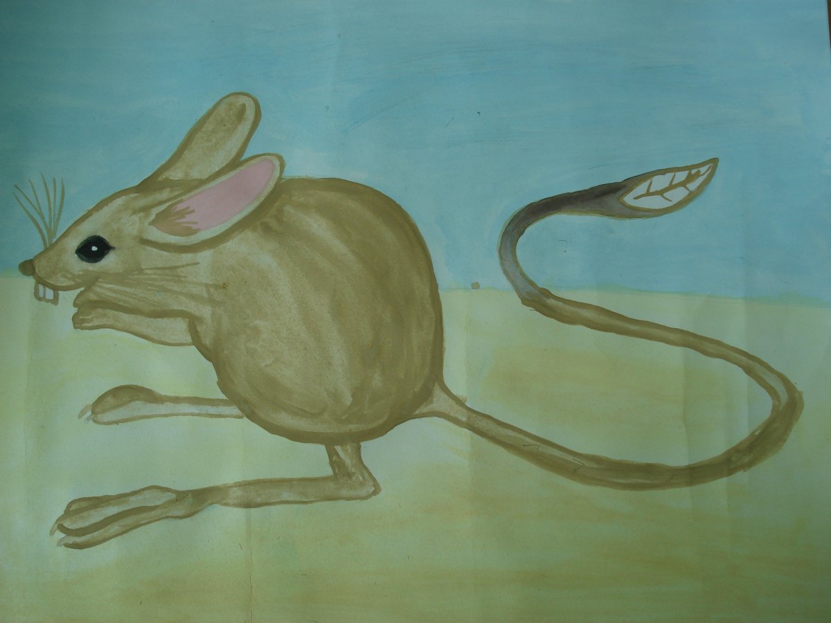 Инопланетные животные