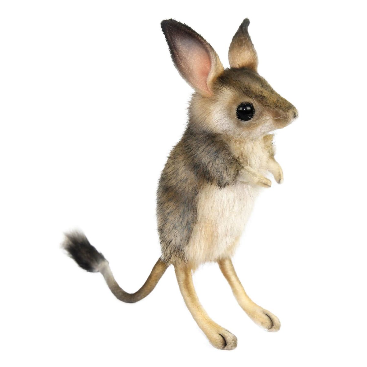 Тушканчик для детей