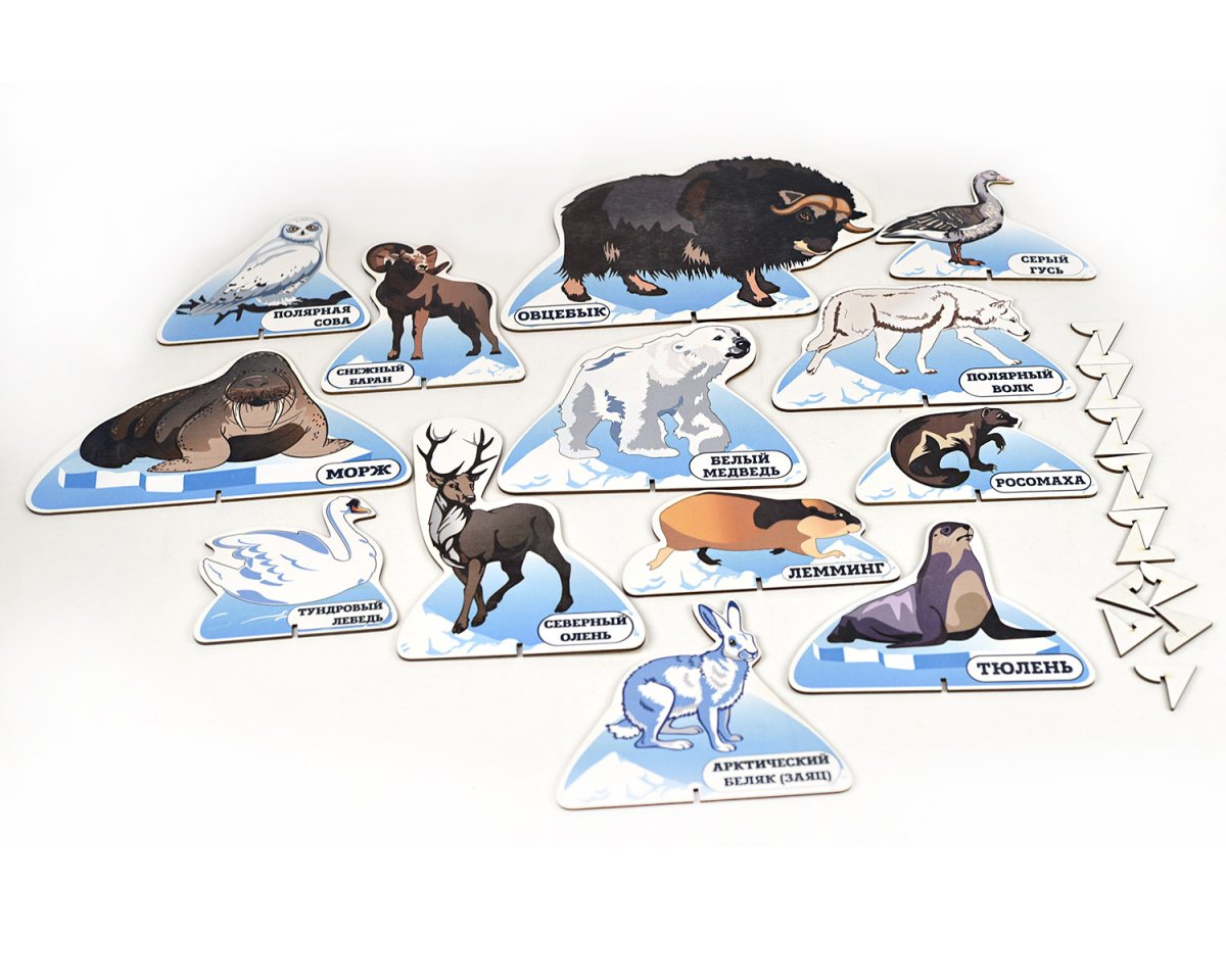 Фон для северных животных
