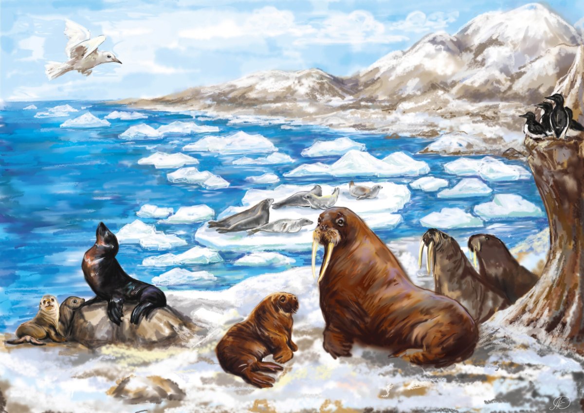 Силуэты животных севера