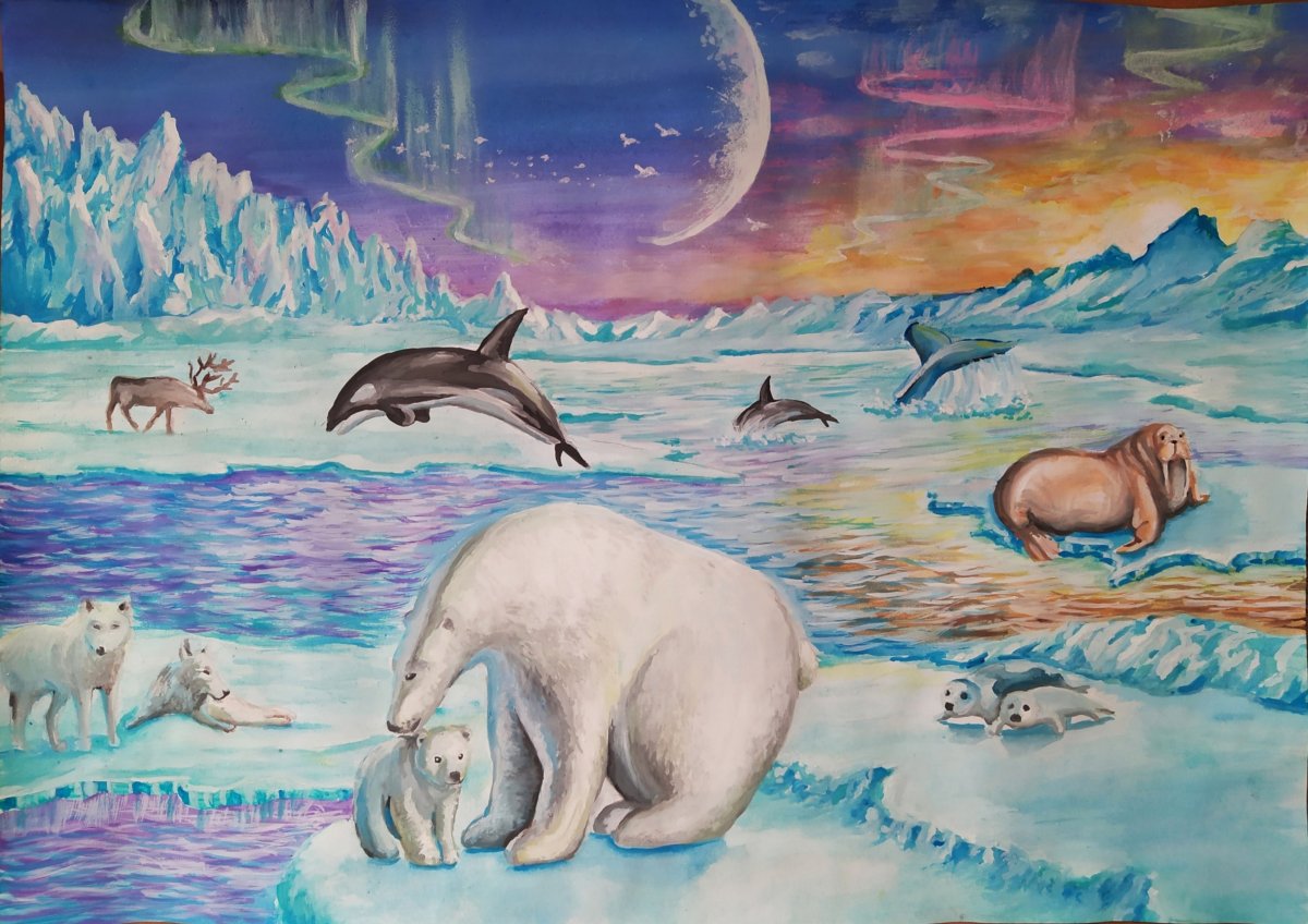 Задания для дошкольников животные Сеера