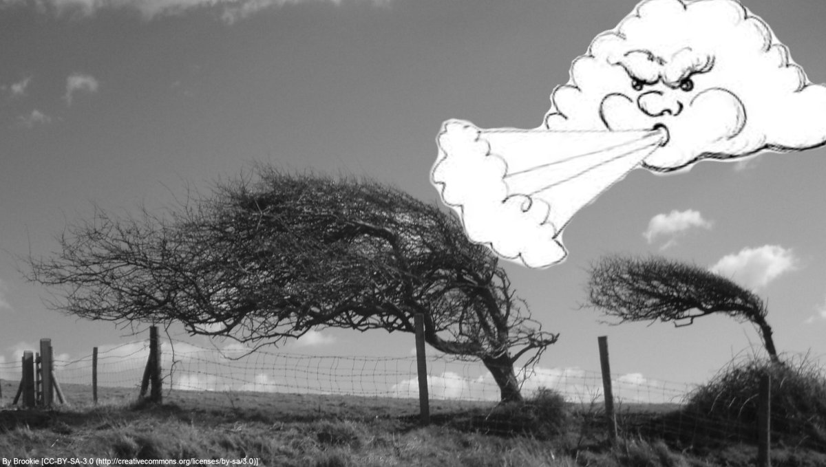 Дует сильный ветер