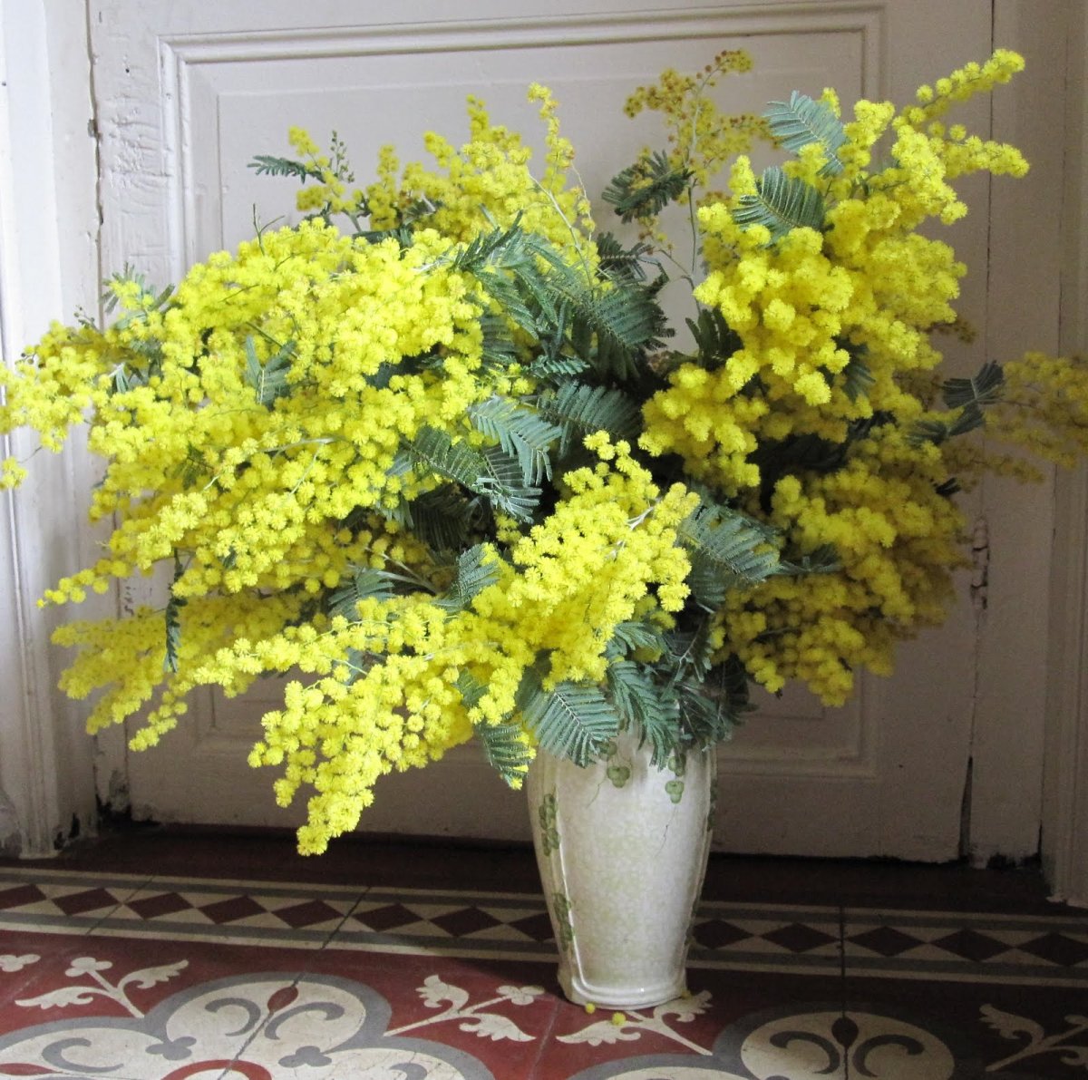 Brivido Мимоза