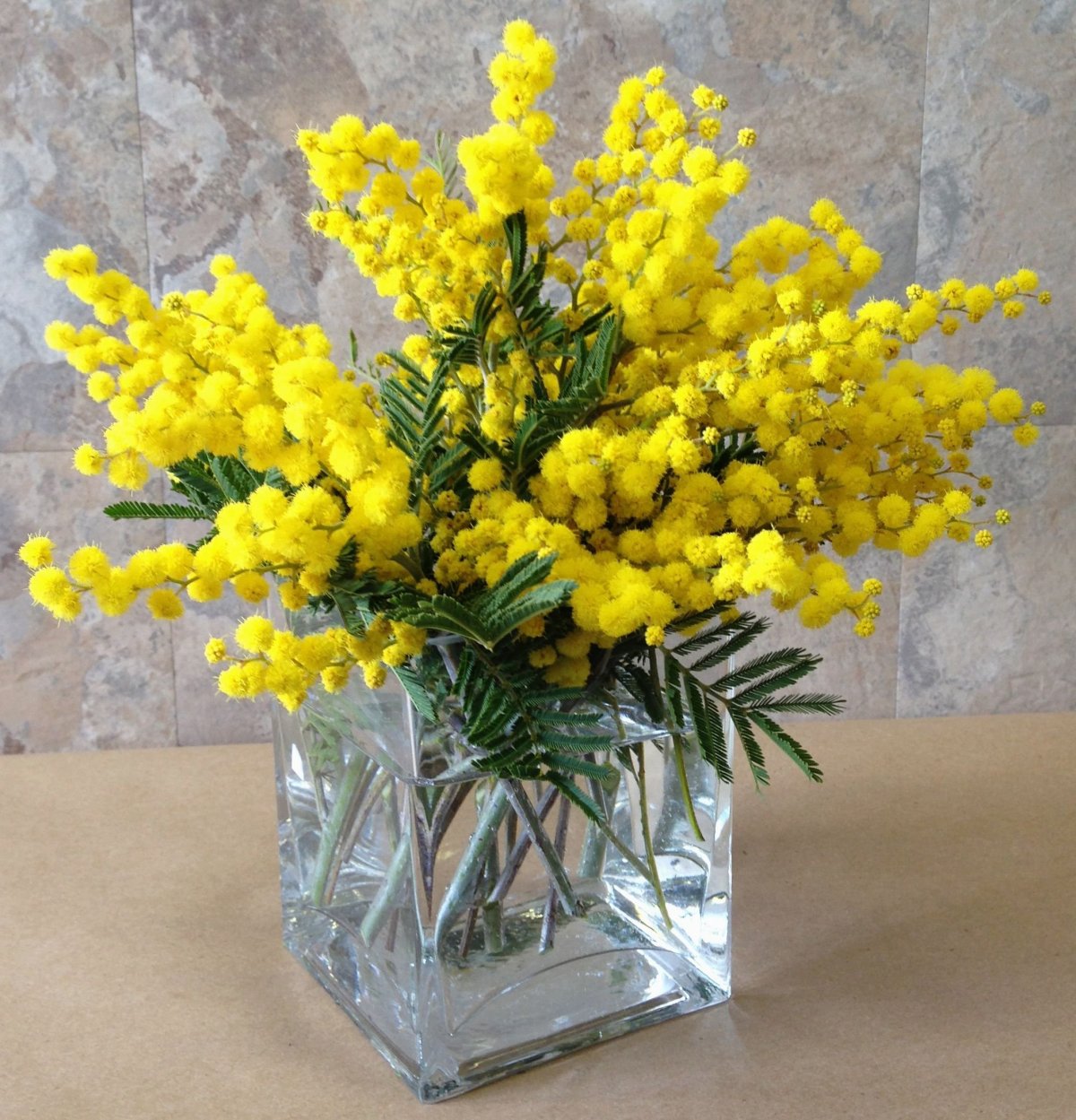 Мимоза в круглой вазе