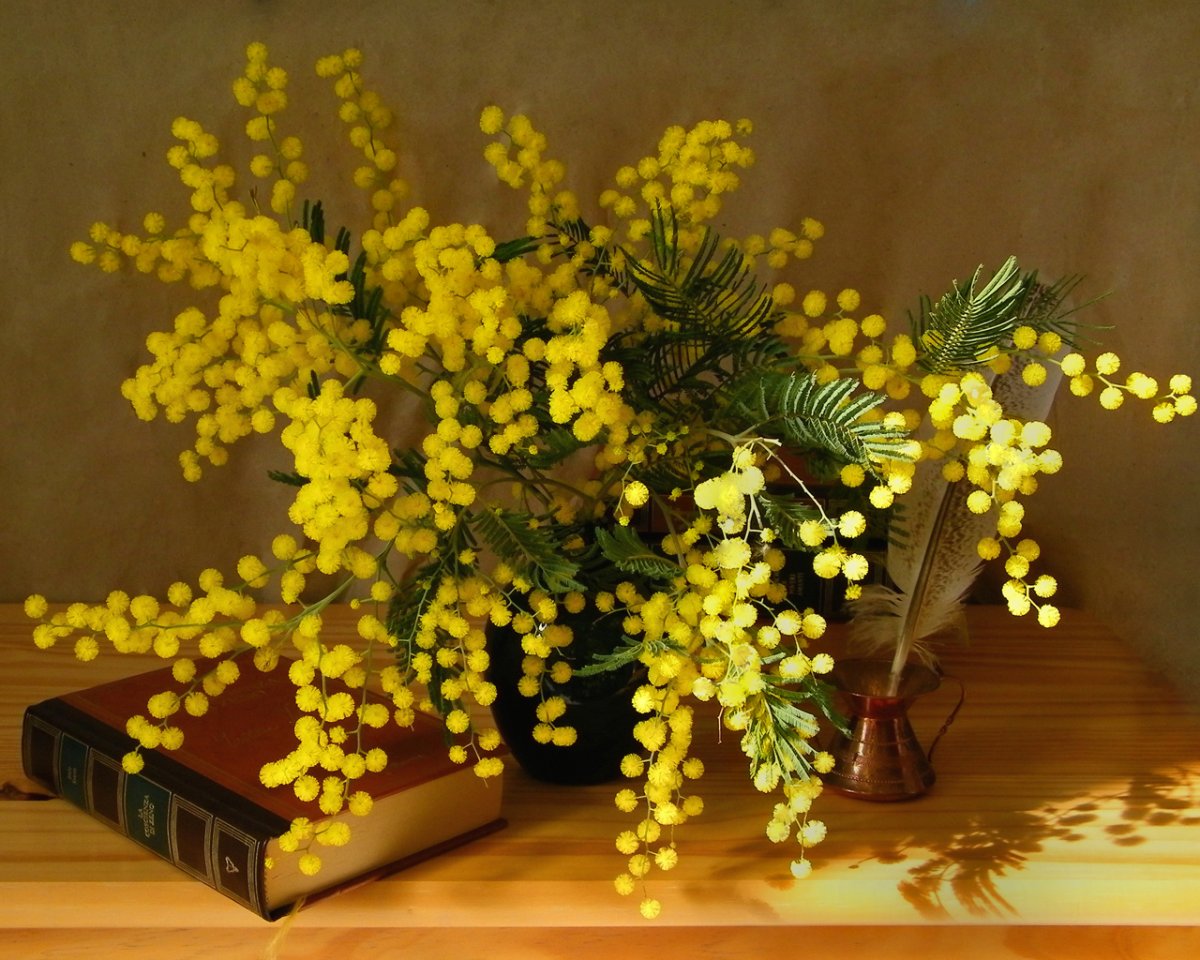 Веточка мимозы в вазе