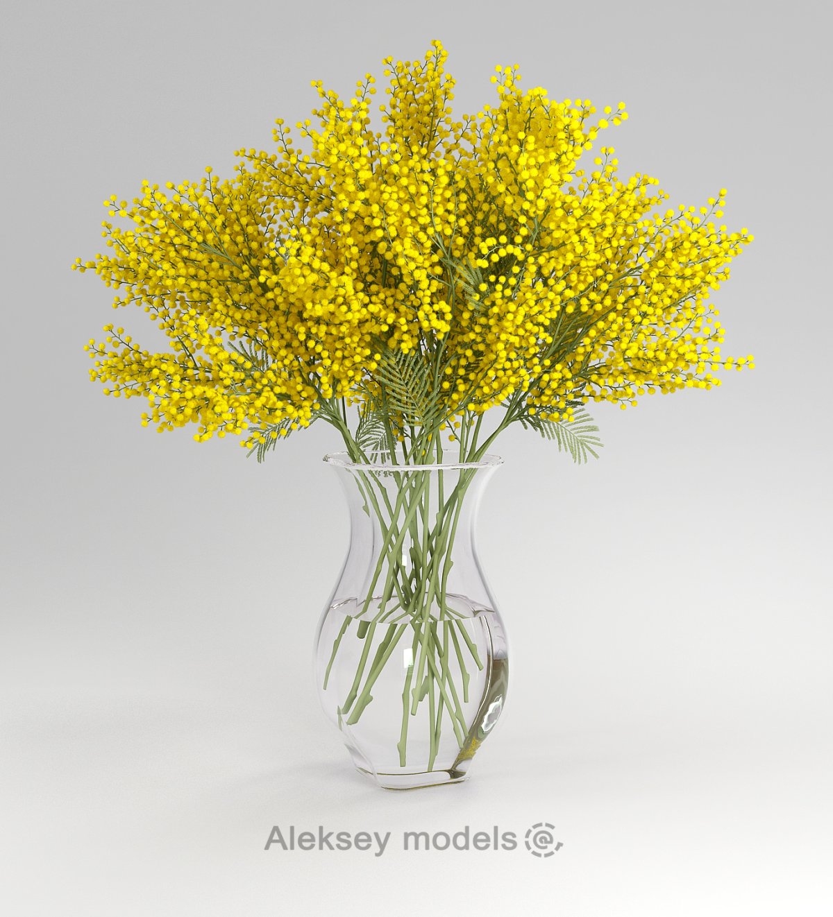 Верба Мимоза гиацинт