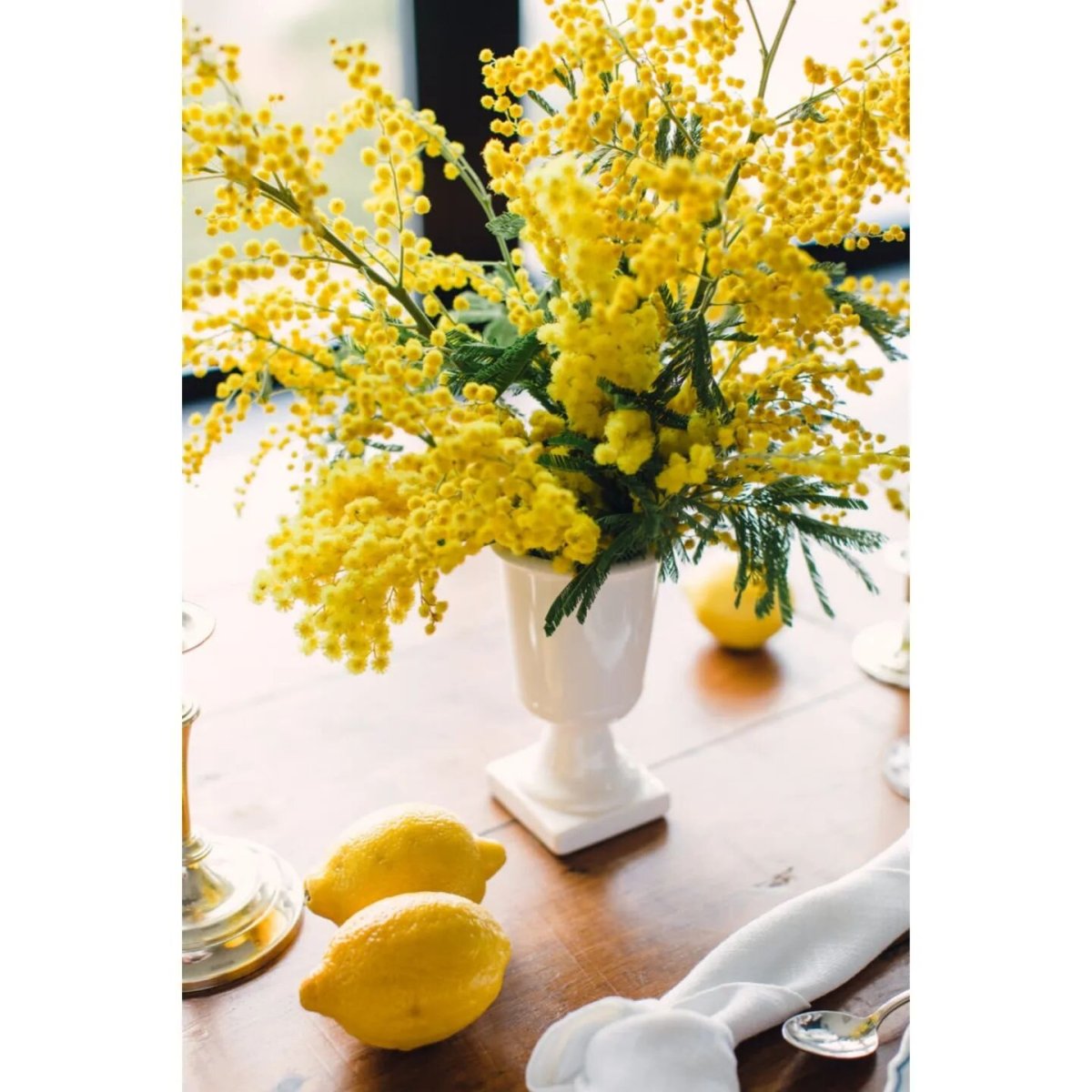 Букет мимозы