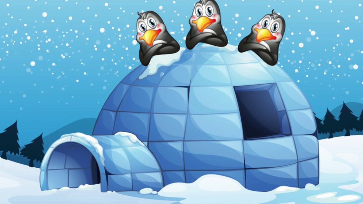 Иглу дом Пингвин