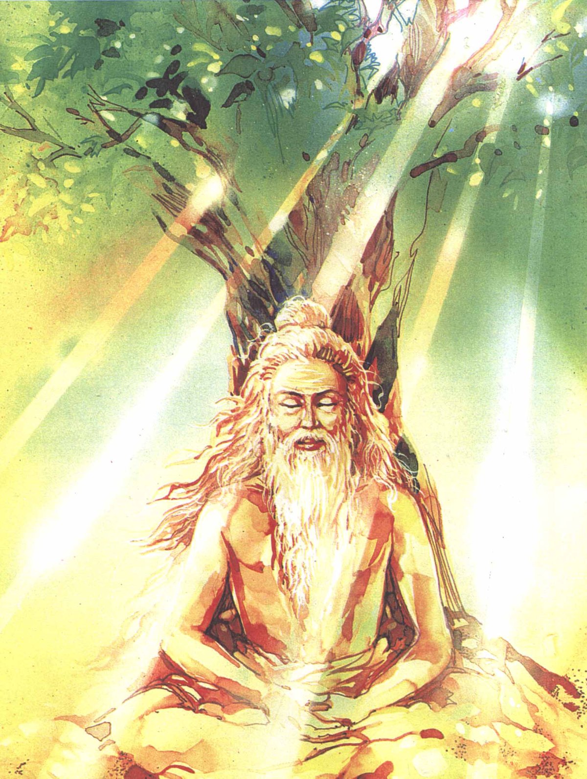 Риши Васиштха