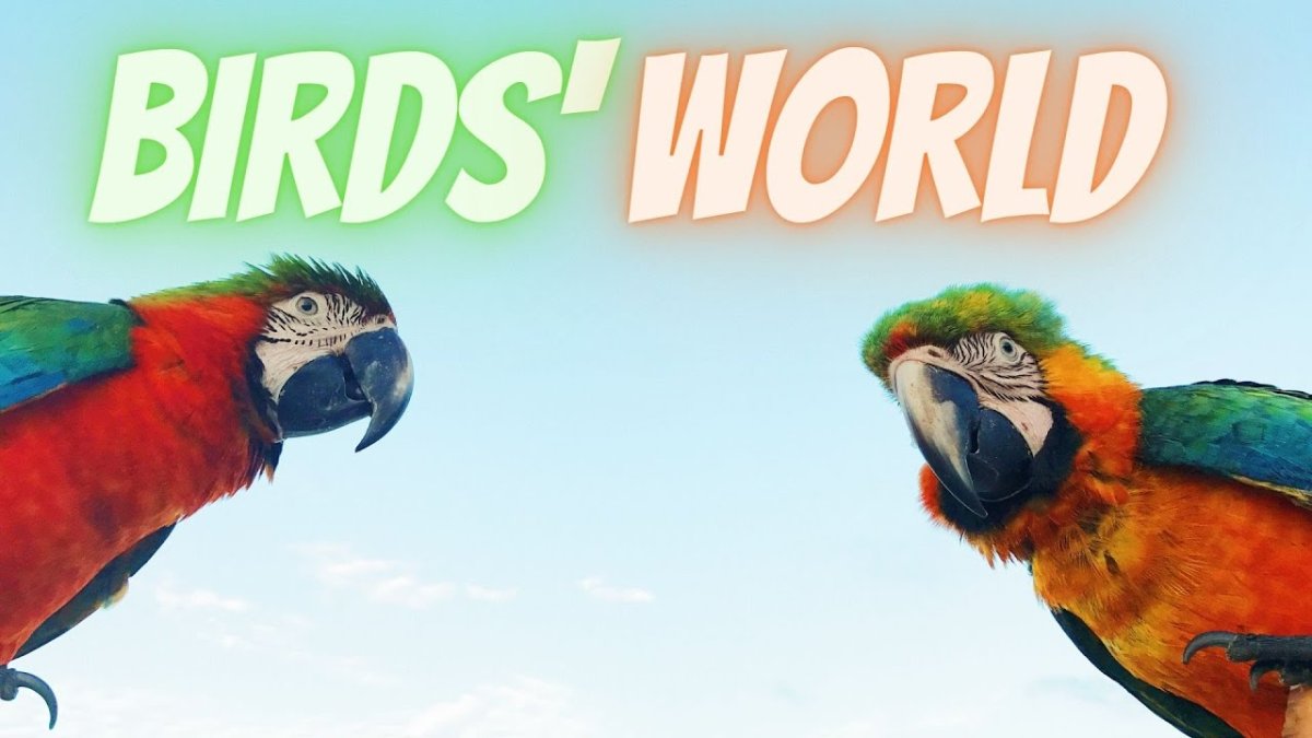 С добрым утром вторника прикольные