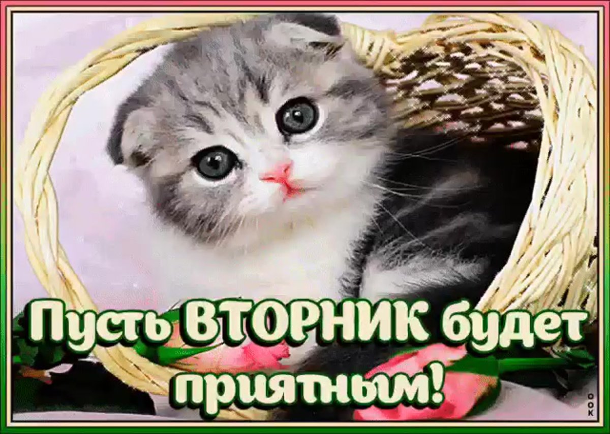 Хорошего вторника отличного настроения