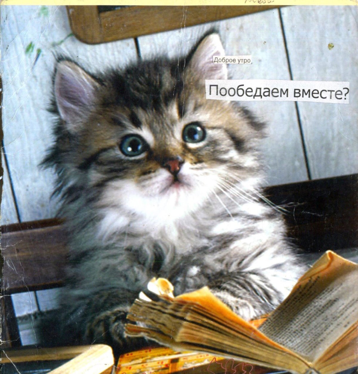 Пожелания с добрым утром вторника