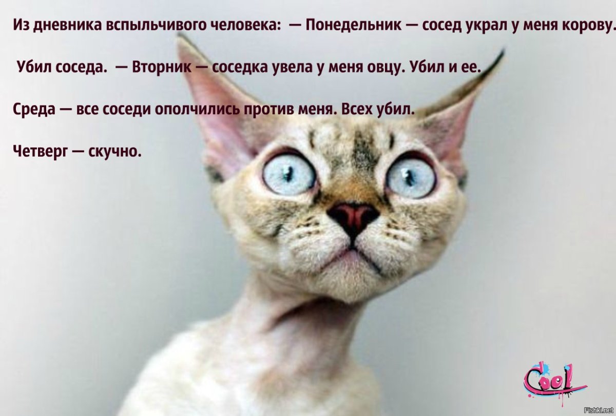 Среда приколы