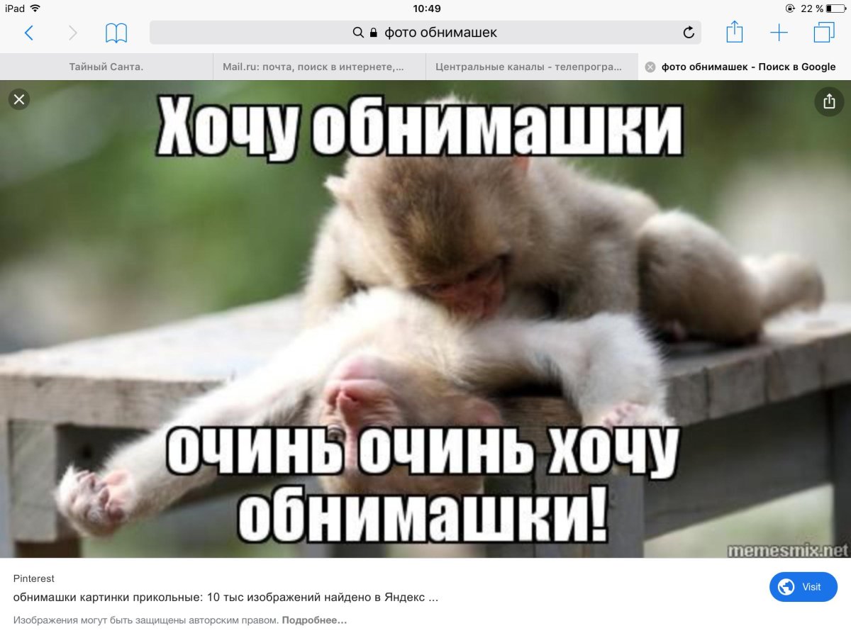 Кот спит на подушке