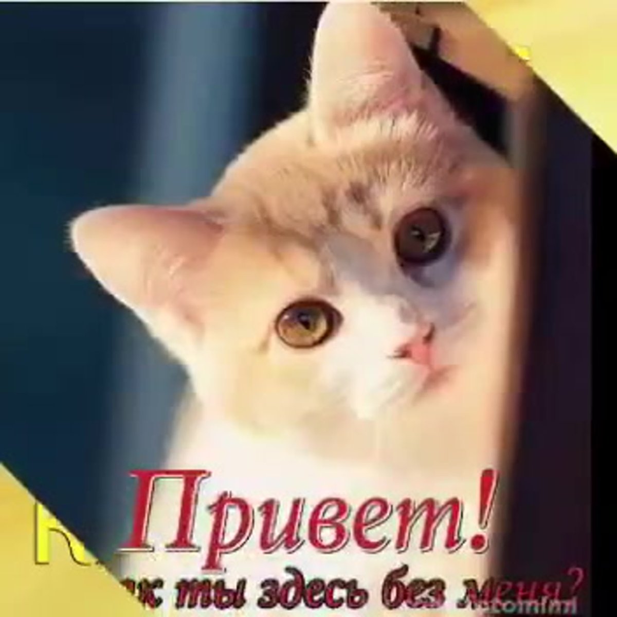 Я скучаю по тебе