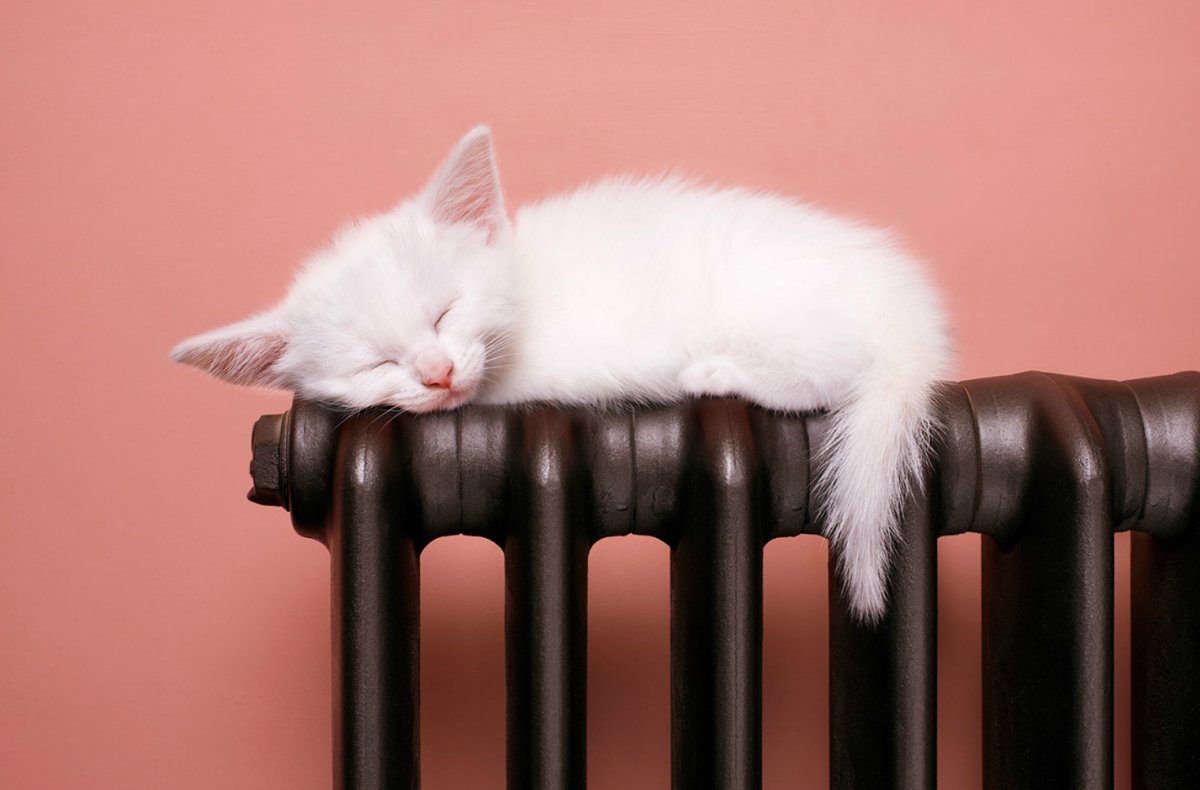 Отопительный сезон