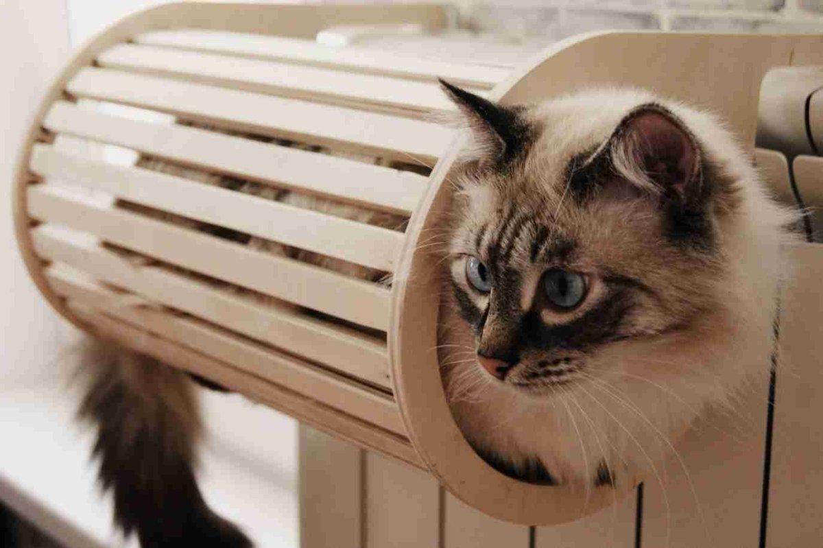 Отопление котик на батарее