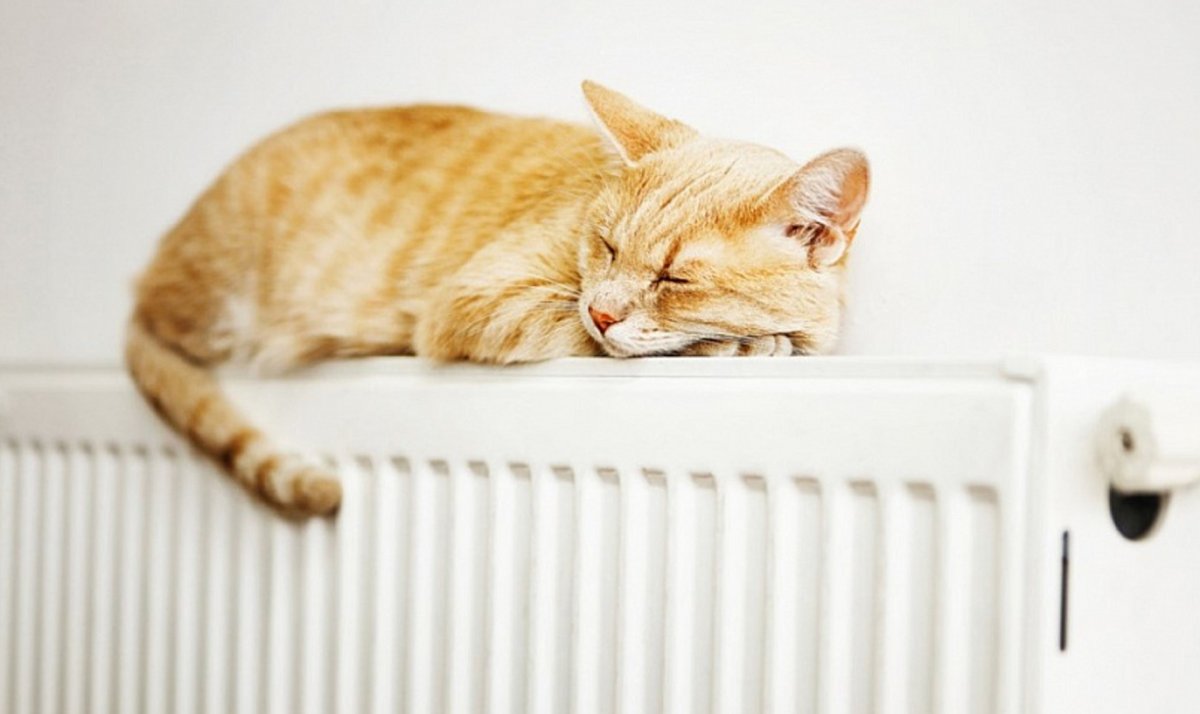 Отопительный сезон