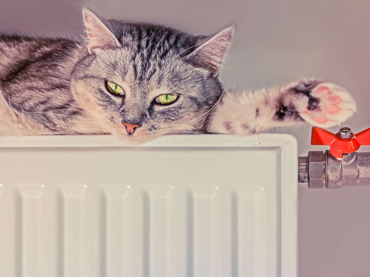 Памятник чугунной батарее