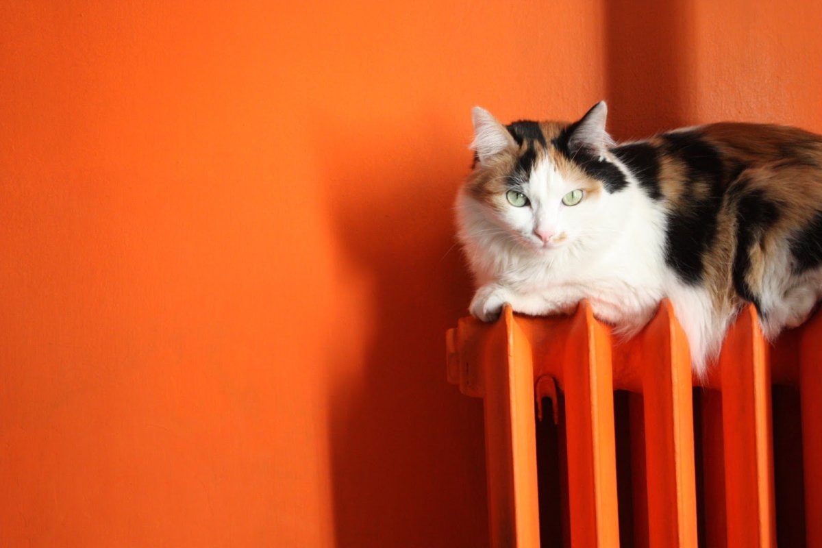 Отопительный сезон в Ростове на Дону 2021