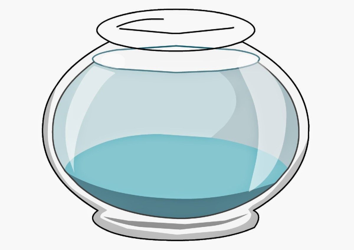 Круглый аквариум без рыбок