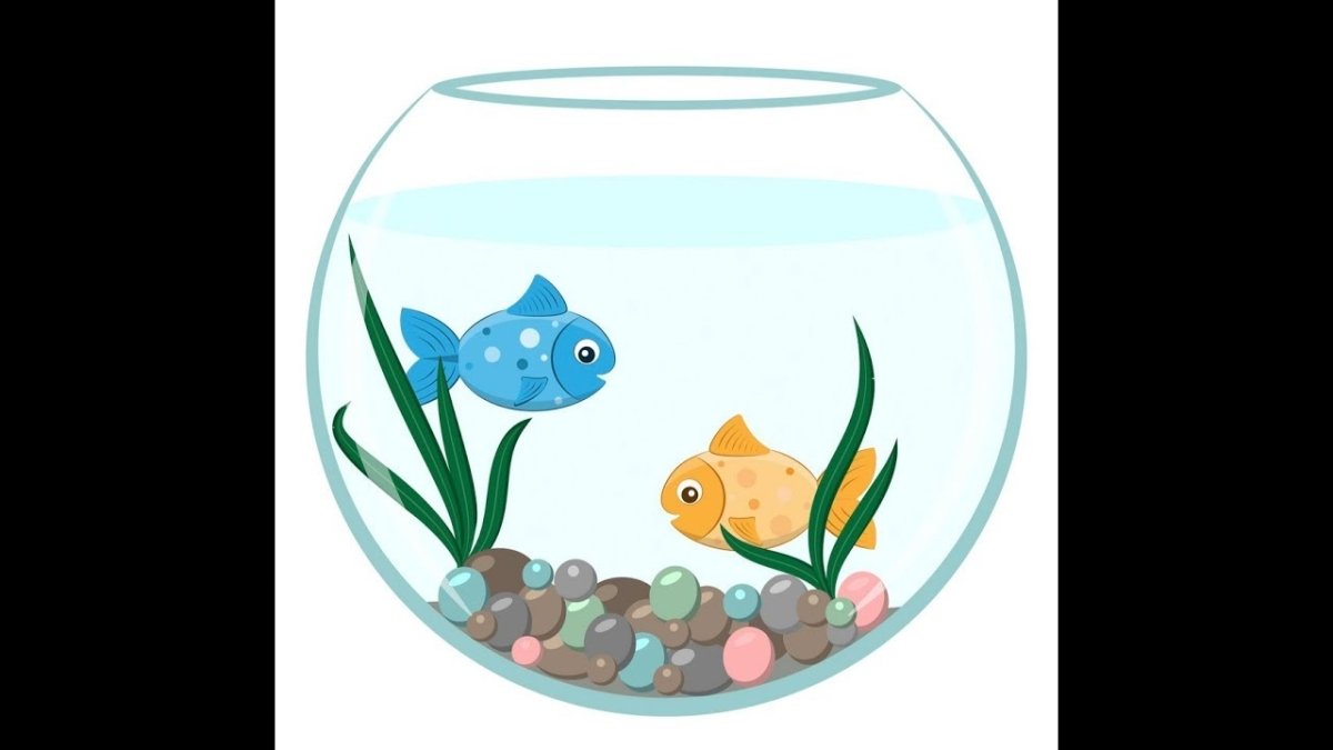 Аквариум для дошкольников