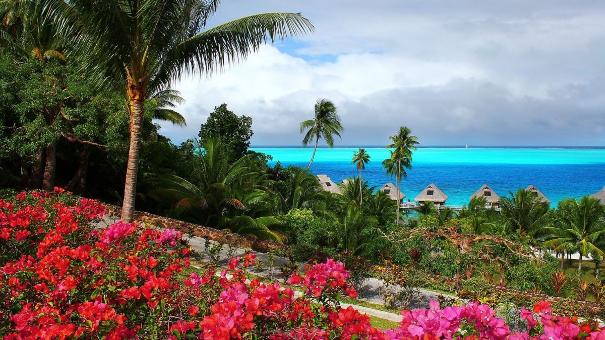 Парадиз остров Карибского моря