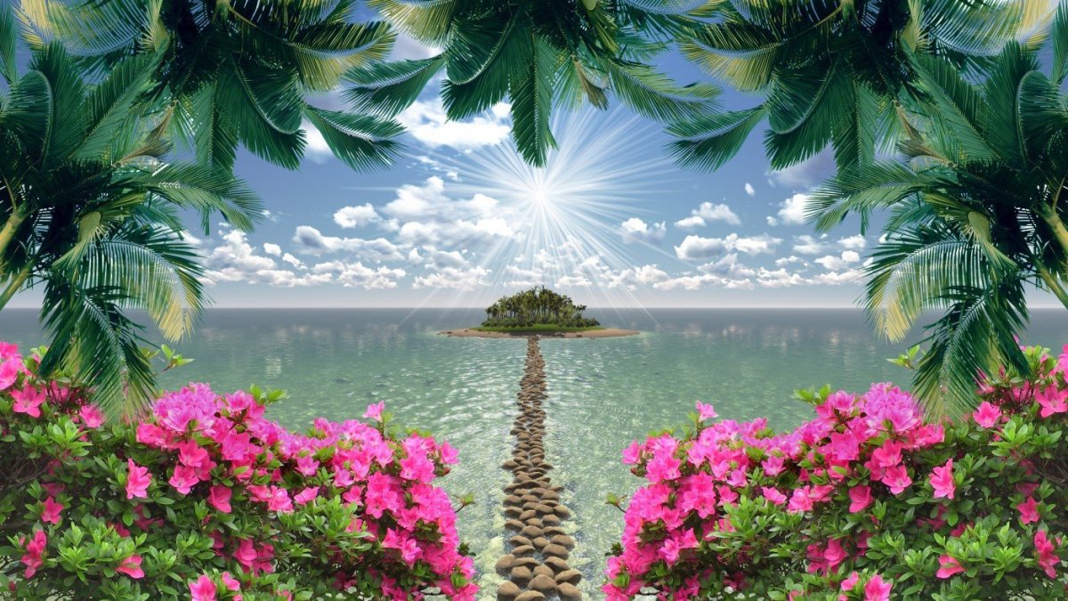 Лето море цветы