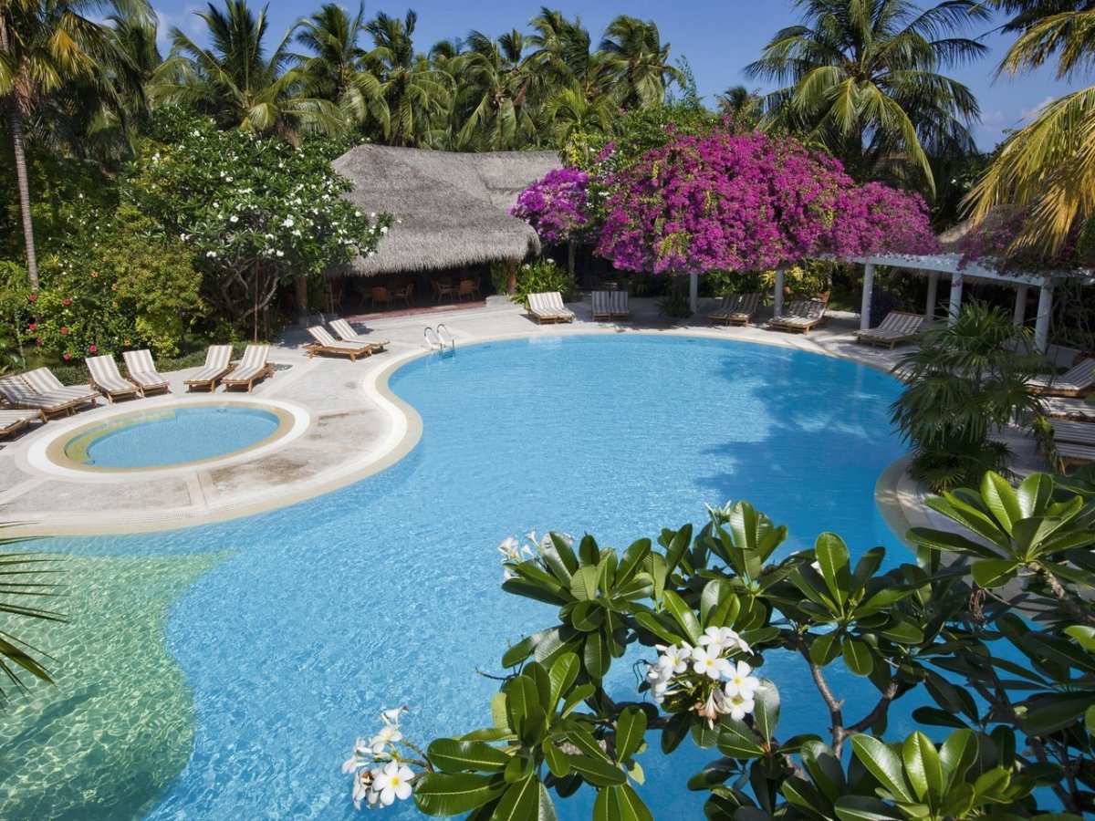 Бассейн пальмы