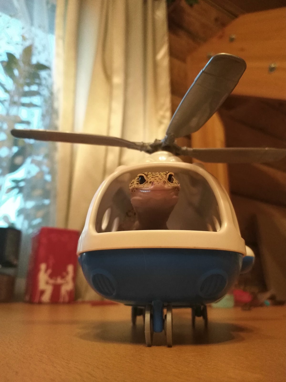 Волшебник в голубом вертолете картинки