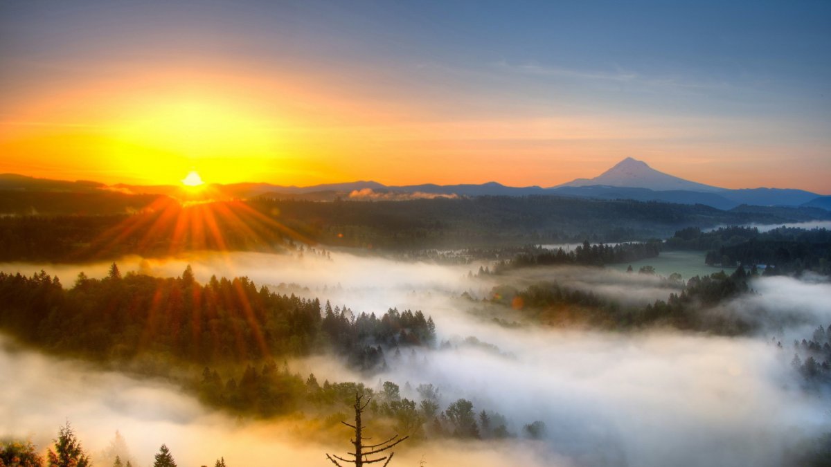 Утренний рассвет