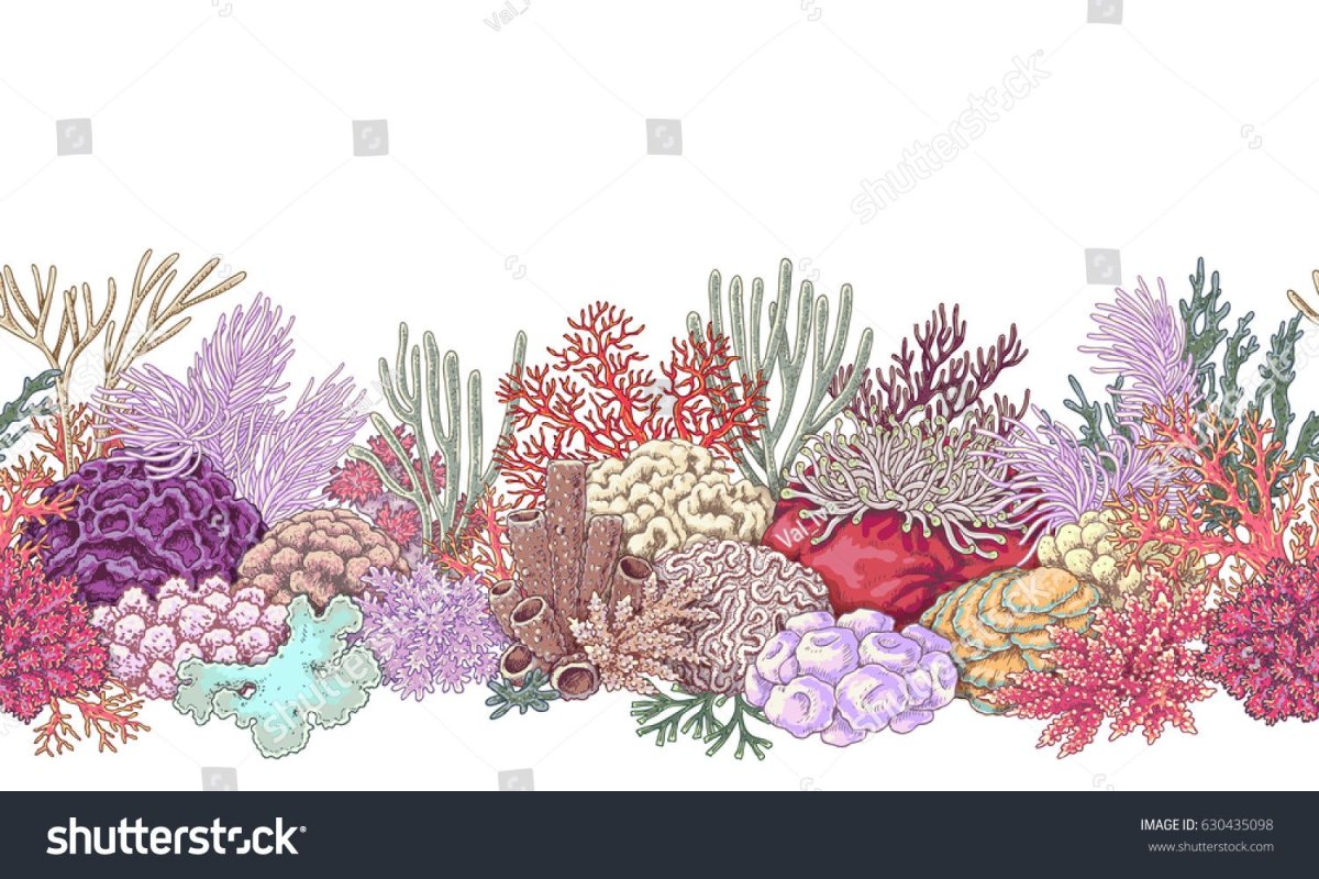 Паттерн коралловый риф